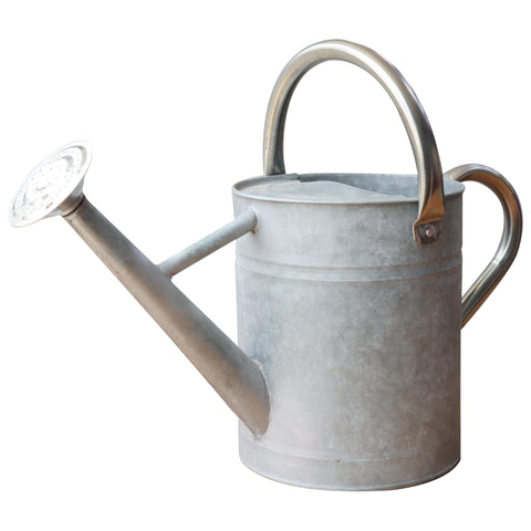 SunnyTong metal watering can for outdoor and indoor use with gentle pours.