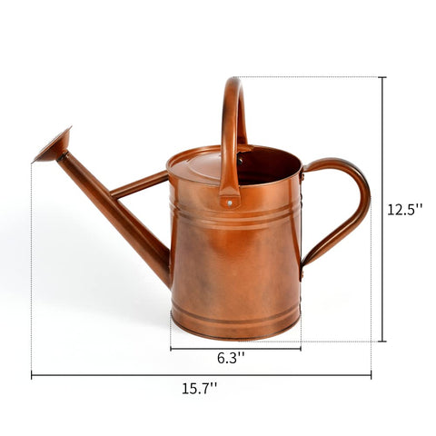 SunnyTong decorative white finish watering can shown as garden decor and gift option.