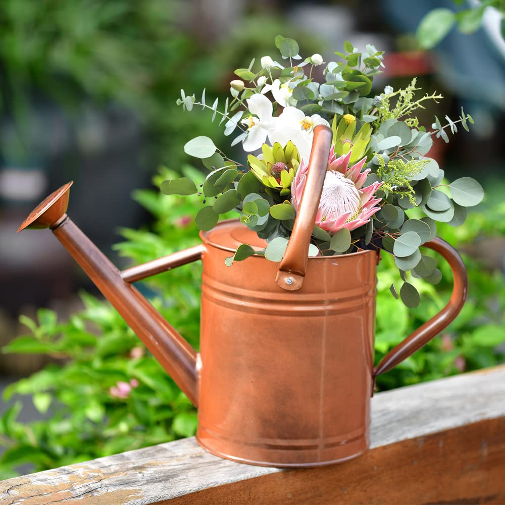 SunnyTong watering can with dual handles for a comfortable grip and precise watering.