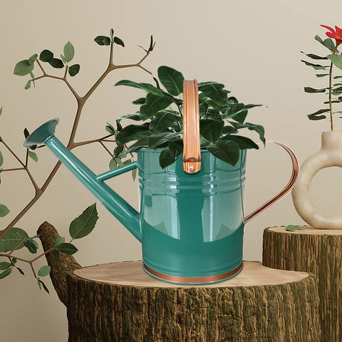 SunnyTong indoor outdoor use ready watering can for houseplants and gardens