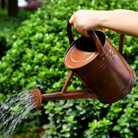 SunnyTong watering can removable spout close-up for easy refilling and adjustable pouring.