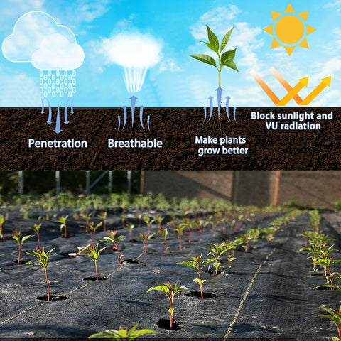 Sunocity permeable ground cover structure allows air and water to reach roots for thriving plants.