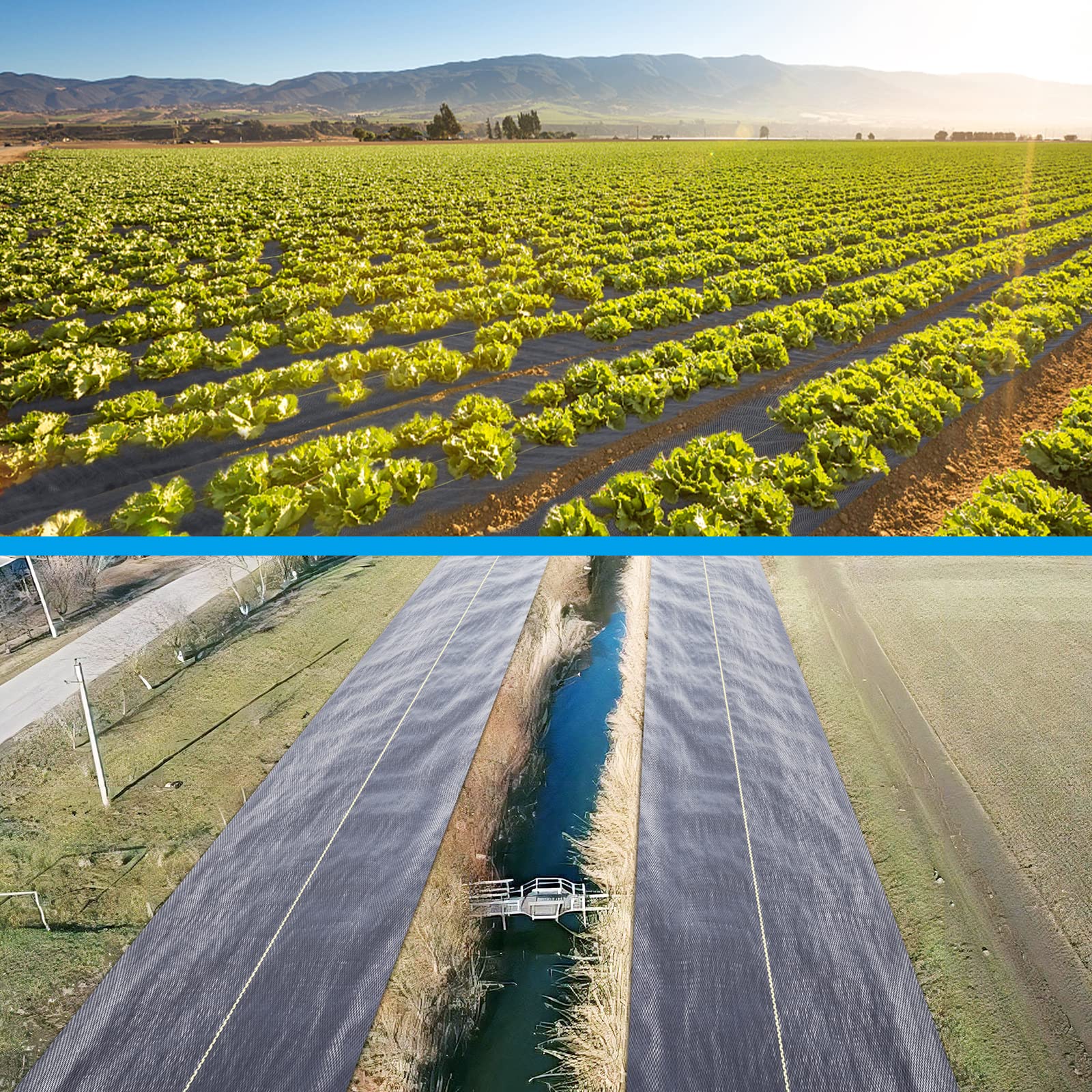 Sunocity weed barrier under mulch prevents weeds while keeping soil moisture.