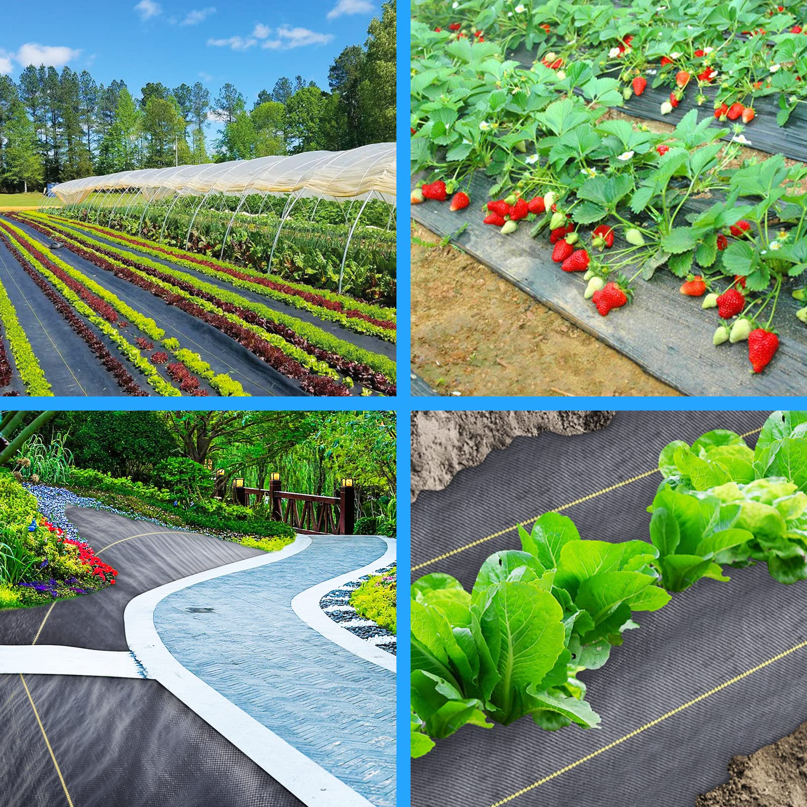 Sunocity UV-resistant ground cloth stands up to sun exposure for long-lasting weed control.