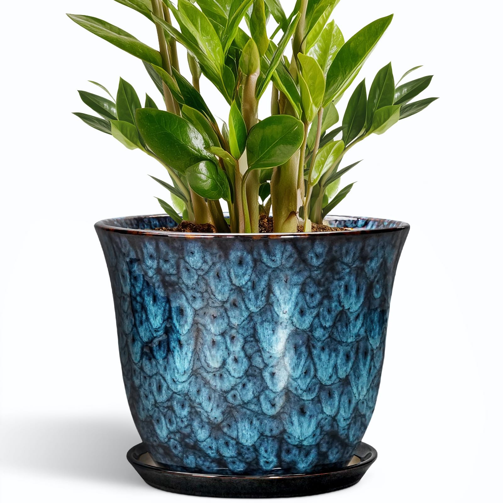 SUNPOTFOR 10-inch ceramic pot with drainage hole in blue promotes healthy roots.