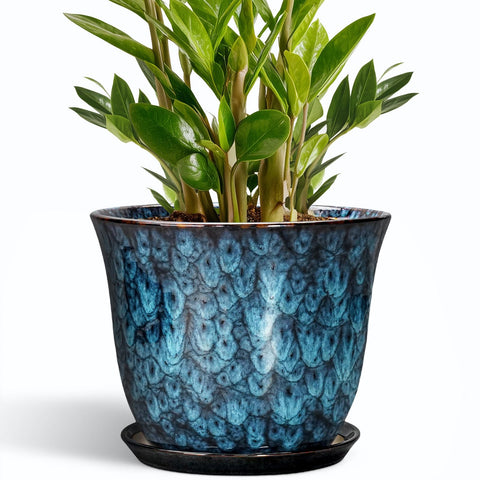SUNPOTFOR 10-inch ceramic pot with drainage hole in blue promotes healthy roots.