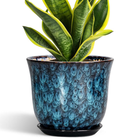 SUNPOTFOR blue glazed ceramic planter adds modern charm to indoor decor