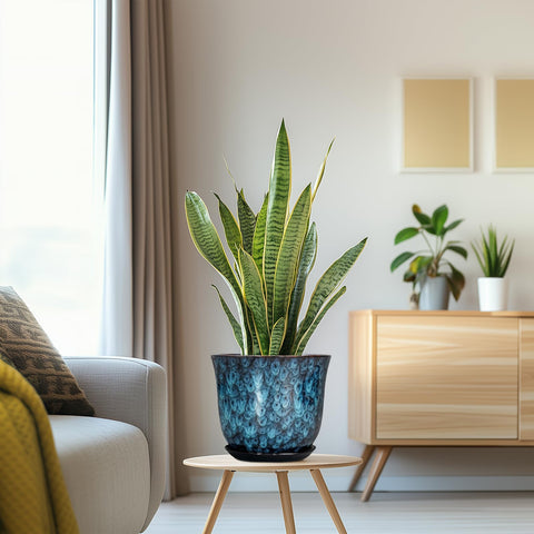 SUNPOTFOR blue planter enhances living room decor with contemporary style