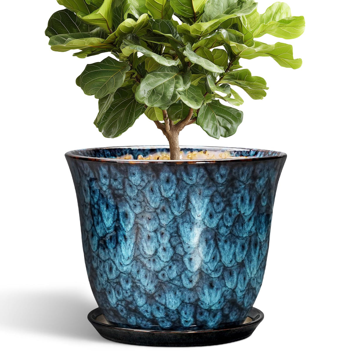SUNPOTFOR 12-inch ceramic plant pot, front view, durable glazed finish for indoor and outdoor spaces.