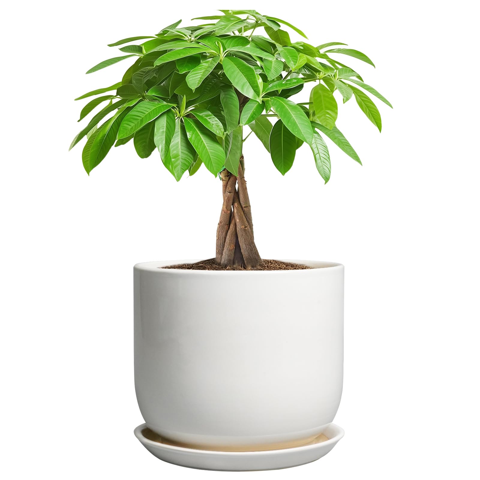 SUNPOTFOR 7-inch ceramic plant pot with clean white finish for indoor spaces