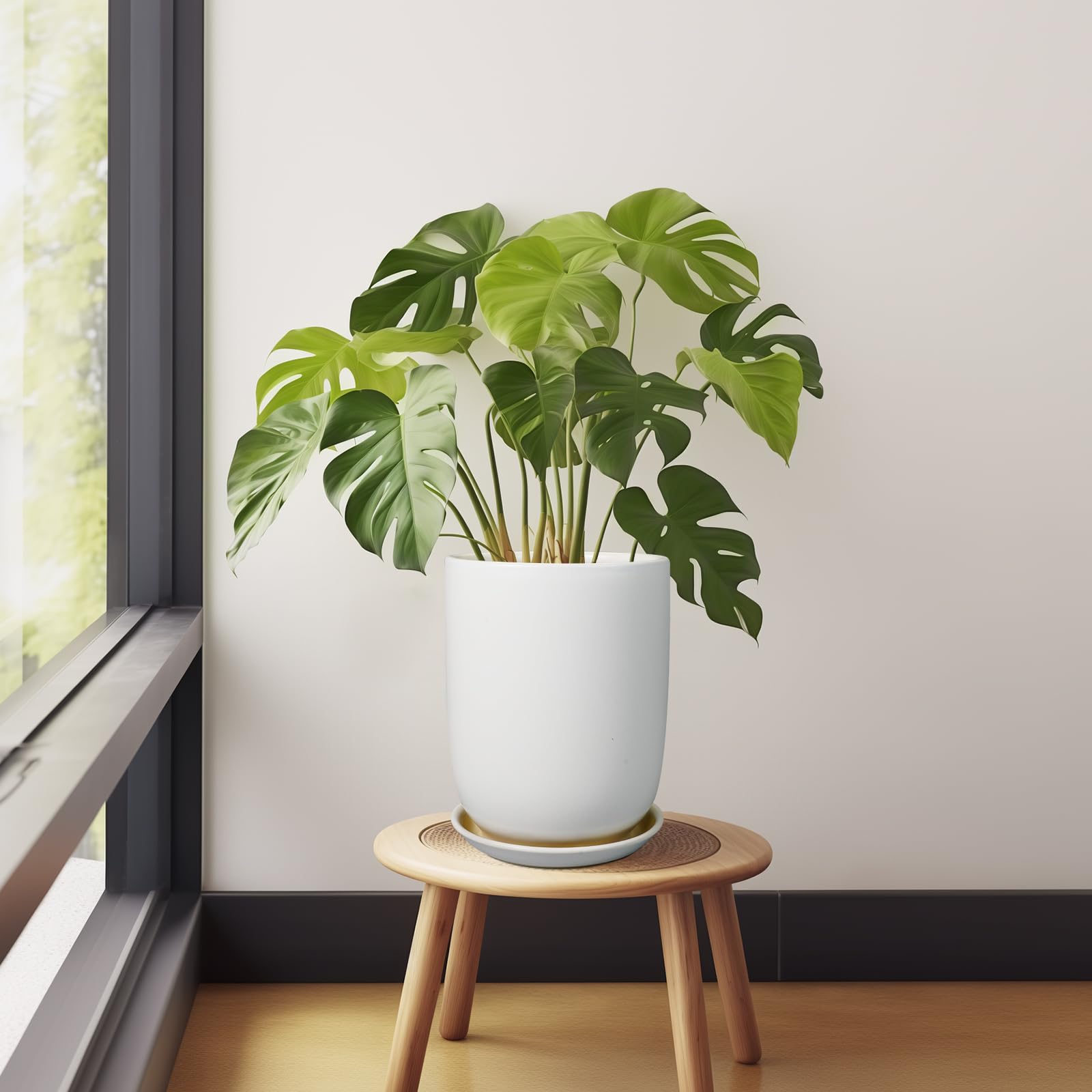SUNPOTFOR 7-6-inch outer diameter and 10-1-inch height suited for spacious plant habitats.
