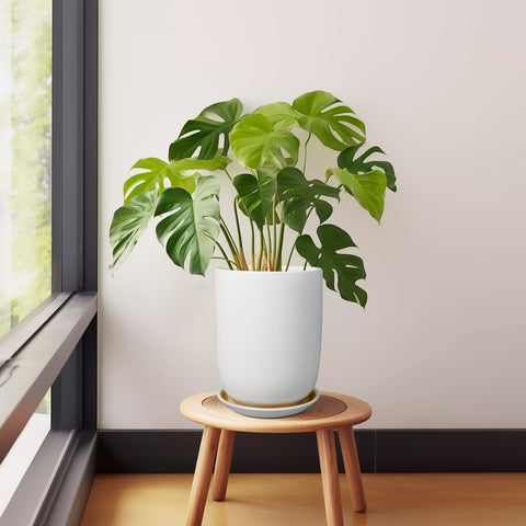 SUNPOTFOR 7-6-inch outer diameter and 10-1-inch height suited for spacious plant habitats.