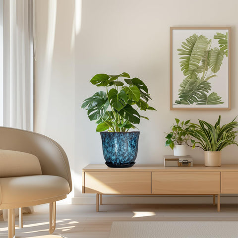 SUNPOTFOR gift-ready ceramic planter ideal for plant lovers