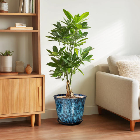 SUNPOTFOR indoor-outdoor blue ceramic planter suits living rooms, offices, and patios.