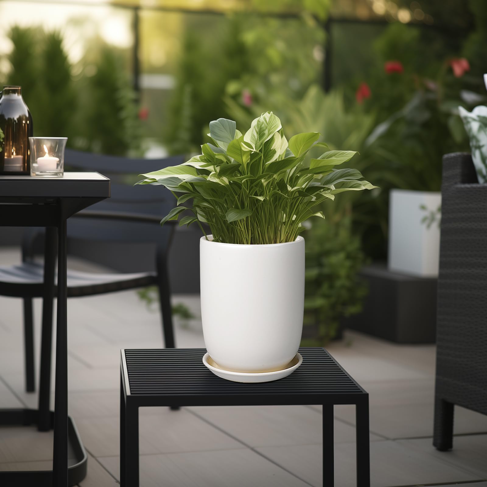 SUNPOTFOR indoor-outdoor ceramic pot demonstrates versatile placement for home or patio.