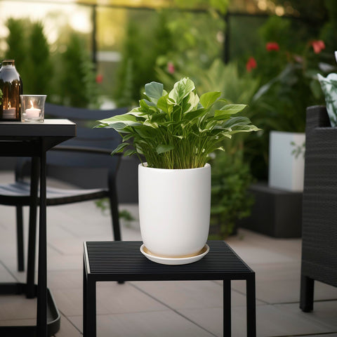 SUNPOTFOR indoor-outdoor ceramic pot demonstrates versatile placement for home or patio.