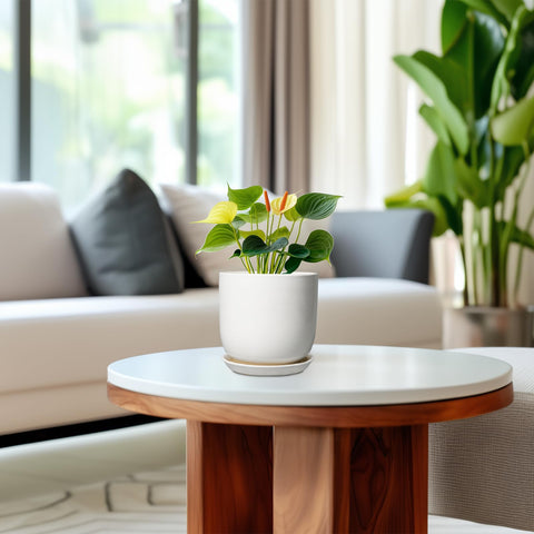 SUNPOTFOR mid-century modern planter enhances small plant displays.