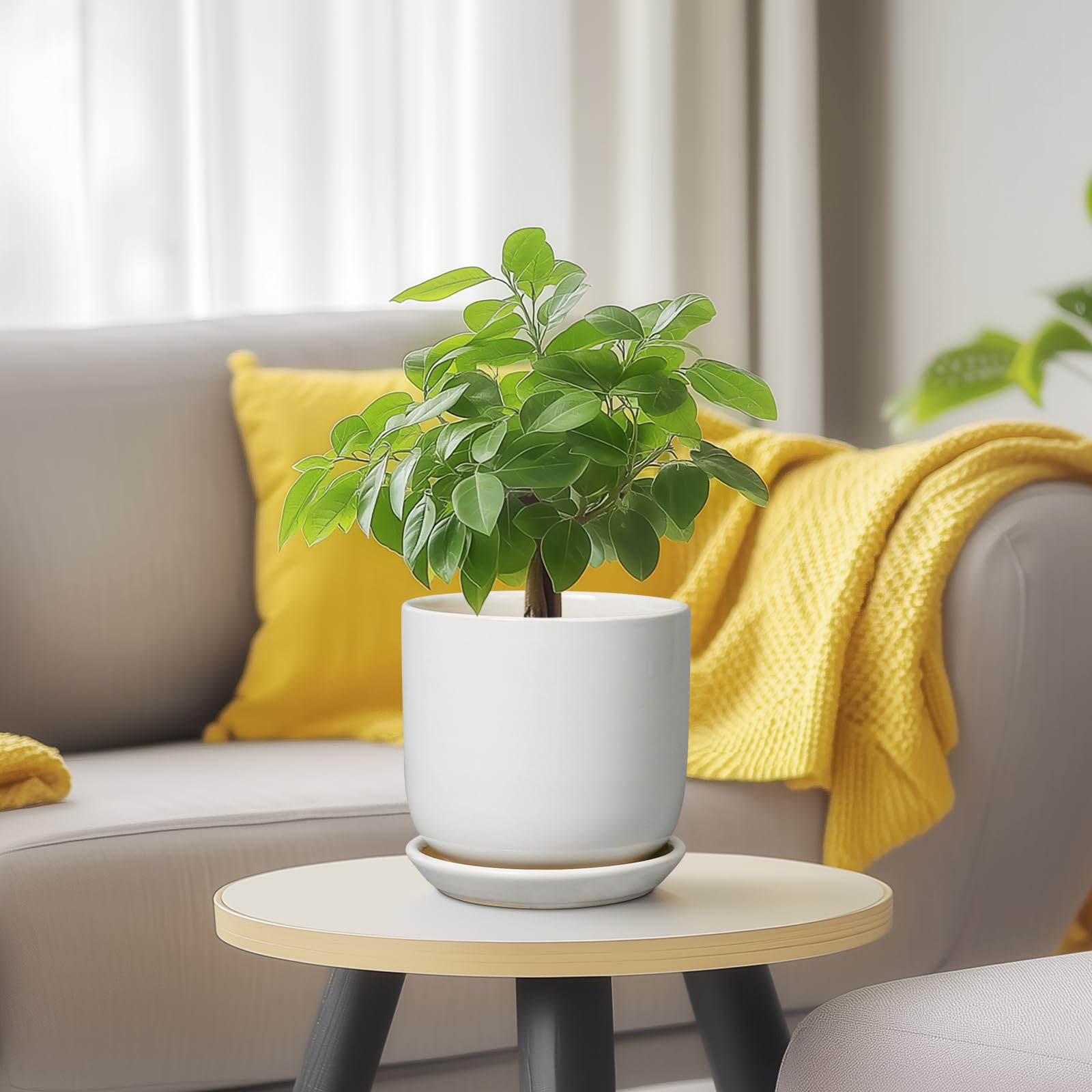 SUNPOTFOR white planter suitable for mint or small herbs indoors.