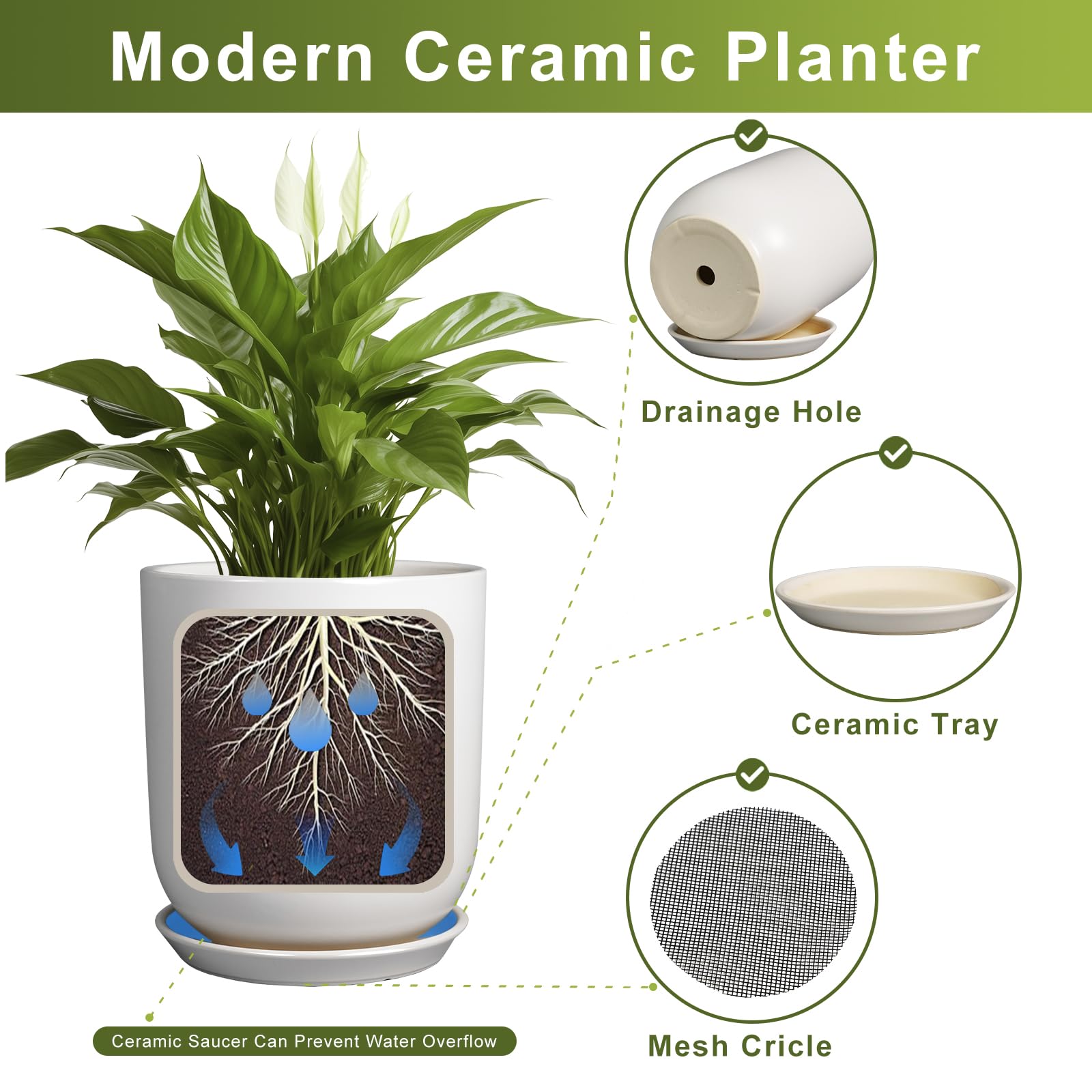 SUNPOTFOR monstera-in-pot setup displays dramatic foliage in a modern white pot.