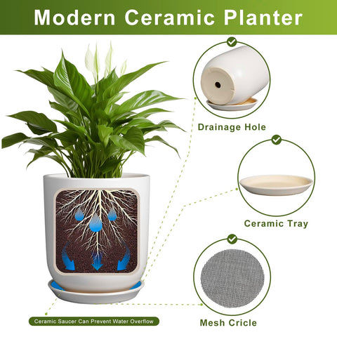 SUNPOTFOR monstera-in-pot setup displays dramatic foliage in a modern white pot.