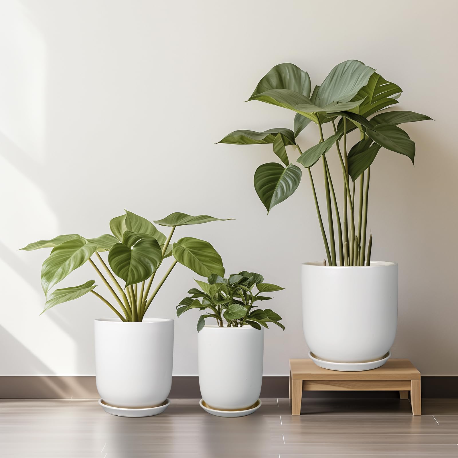 SUNPOTFOR olive-tree and succulents in the pot illustrate durable ceramic housing.