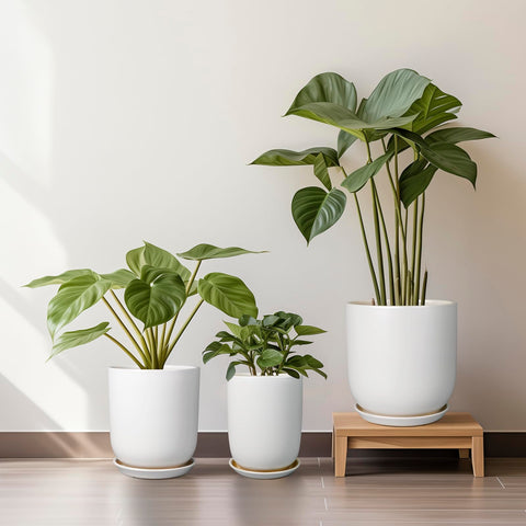 SUNPOTFOR olive-tree and succulents in the pot illustrate durable ceramic housing.