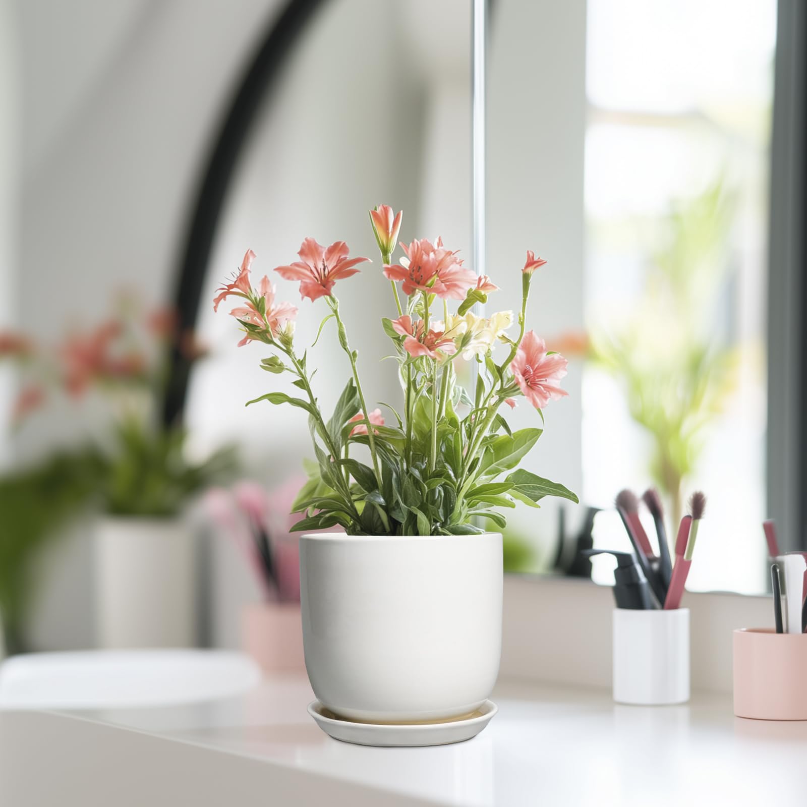 SUNPOTFOR white ceramic pot ideal for orchids or bonsai indoors.