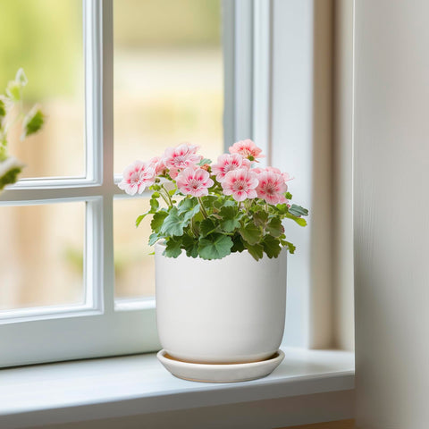 SUNPOTFOR round white planter showing drainage hole design for tidy watering.