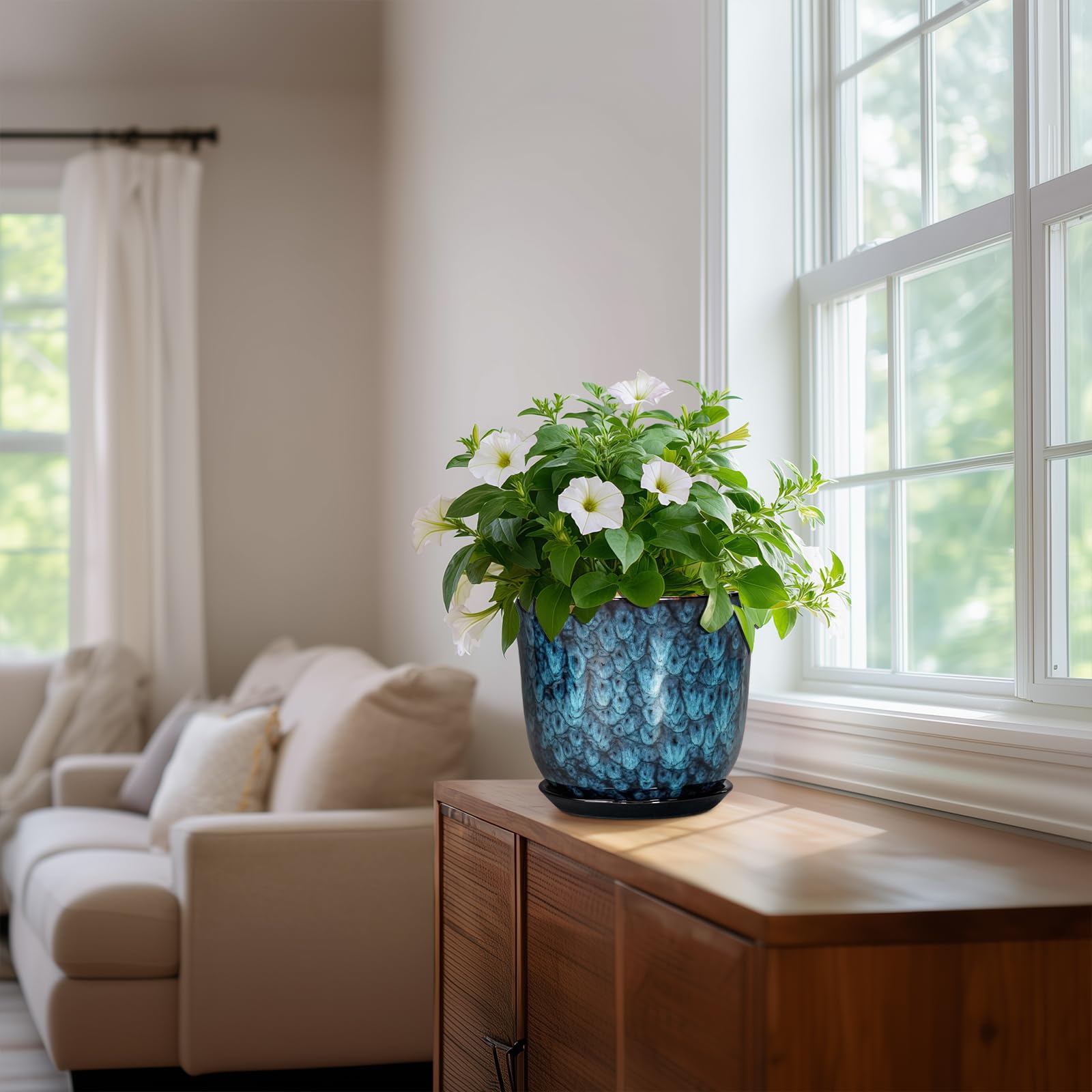 SUNPOTFOR snake plant displayed in blue pot for modern interiors