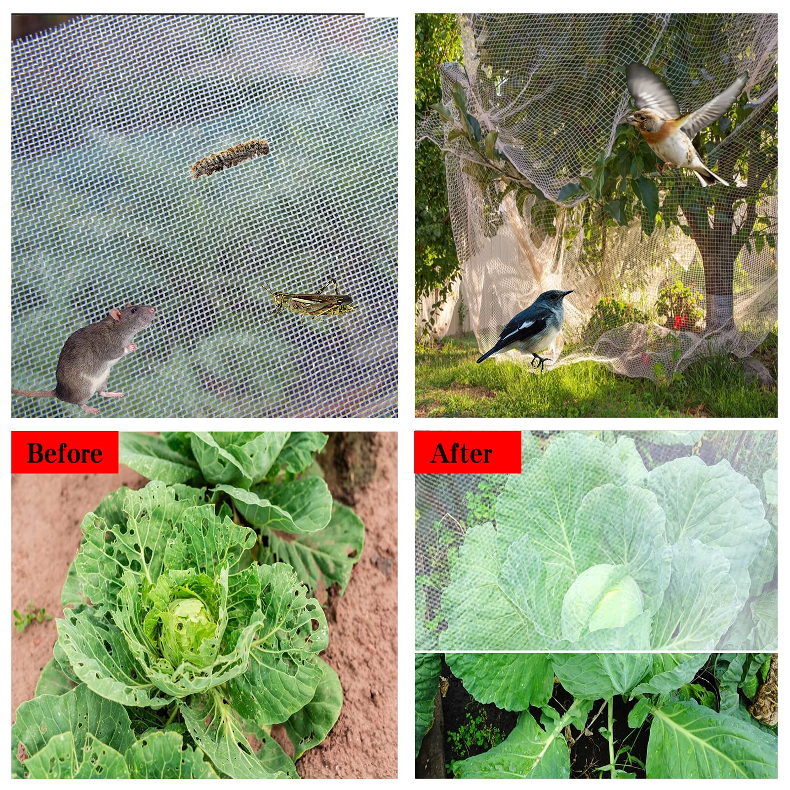 SUNPRO breathable mesh over crops enabling light and water to pass through.