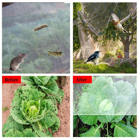 SUNPRO breathable mesh over crops enabling light and water to pass through.