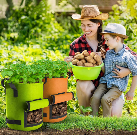 Suntee durable handles and reusable design for multiple seasons.