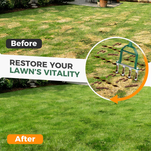 Suntee aerator in use on damp lawn to reduce compaction.