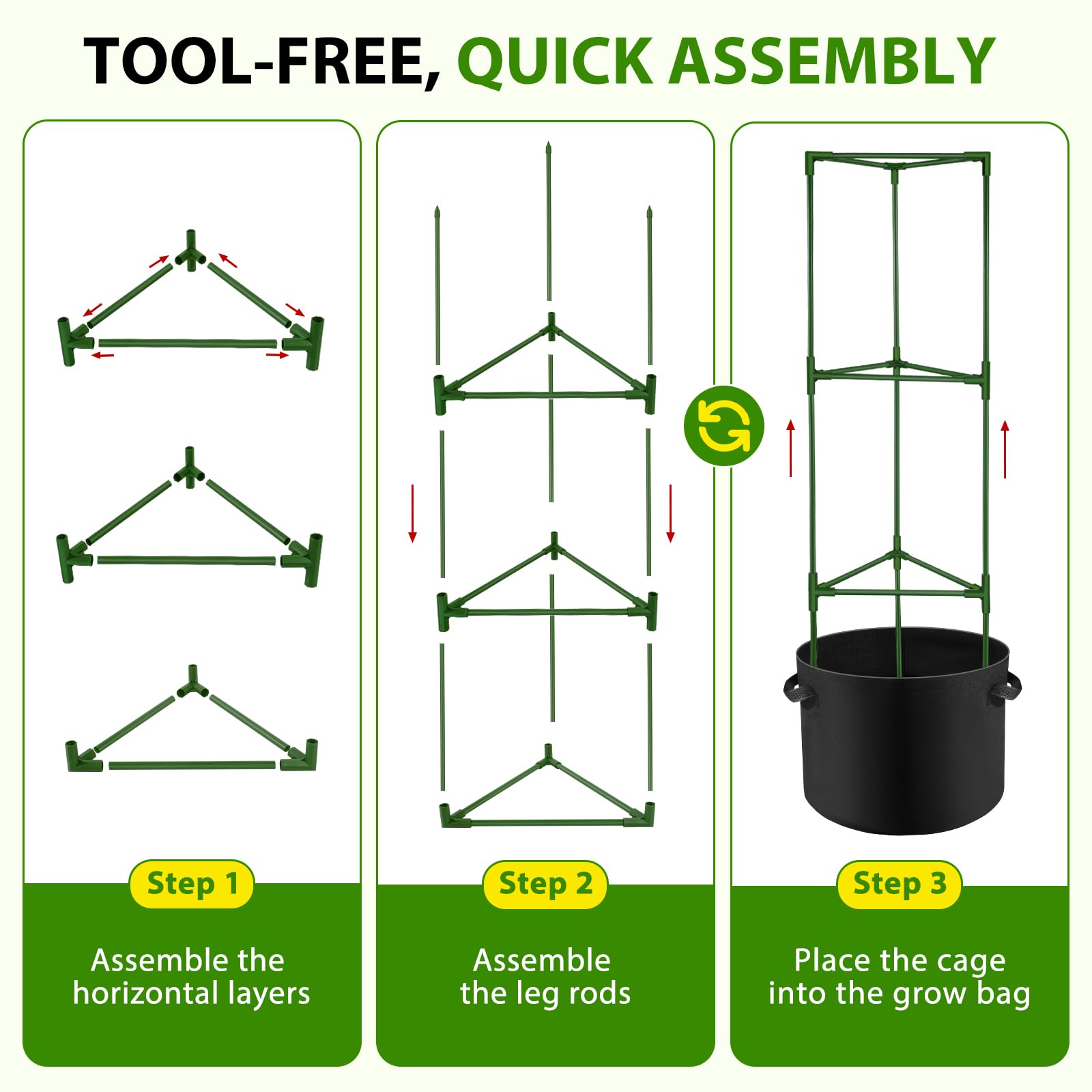 Suntee plants growing tomatoes shows tidy trellis guiding upward growth