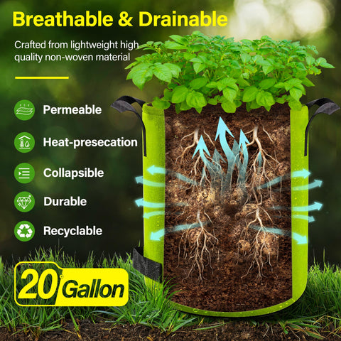 Suntee thickened nonwoven grow bag with dual handles for portability