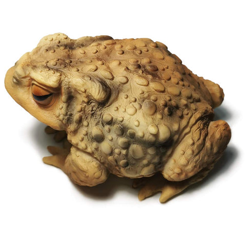 Sunthus frog-toad sculpture for outdoor garden decor, enhancing curb appeal.