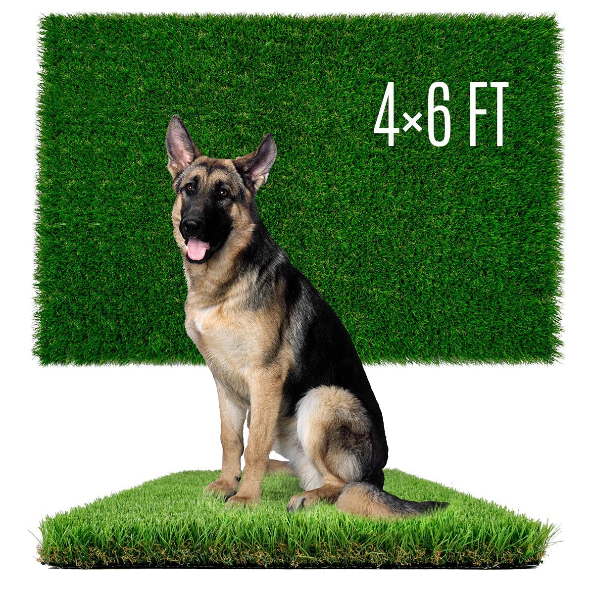 SunTurf dog grass with soft-touch texture for gentle play and training.