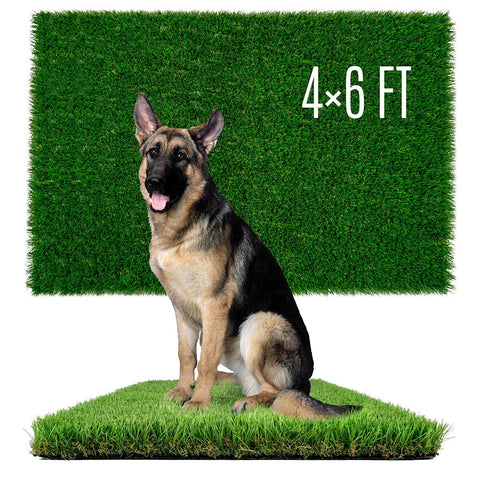SunTurf dog grass with soft-touch texture for gentle play and training.