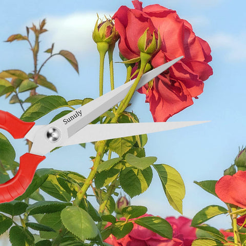 Sunuly pruning shears cutting stems in a bundle without damage.