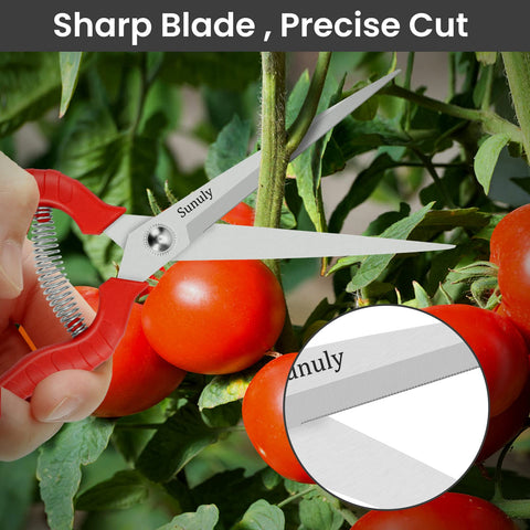 Sunuly pruning shears with spring-loaded action easing cutting.