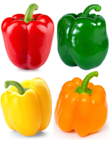 Sunutri Seeds red bell pepper close-up for fresh slicing and bright salads.
