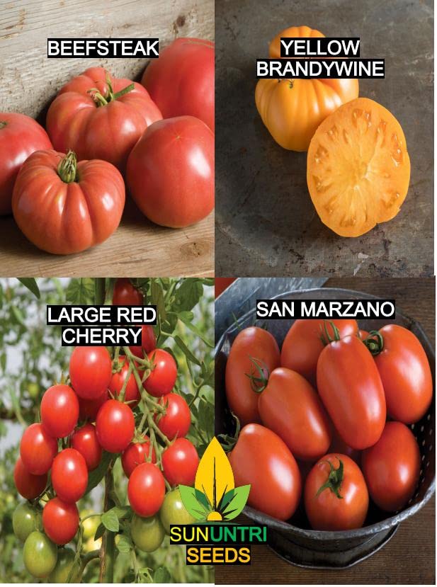 Sunutri Seeds Tomato Beefsteak Fruit Closeup juicy slices ready for sandwiches
