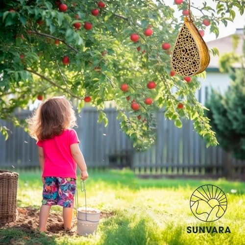 SunVara decorative mason bee bottle adds visual charm to the setup.