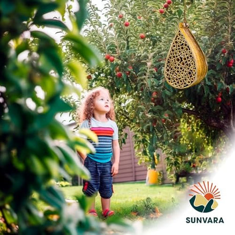 SunVara pollinator garden blooms around the bee house.