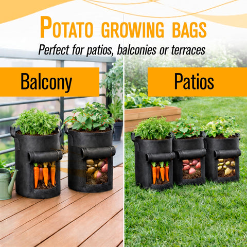 SunVara grow bags harvesting potatoes from a container