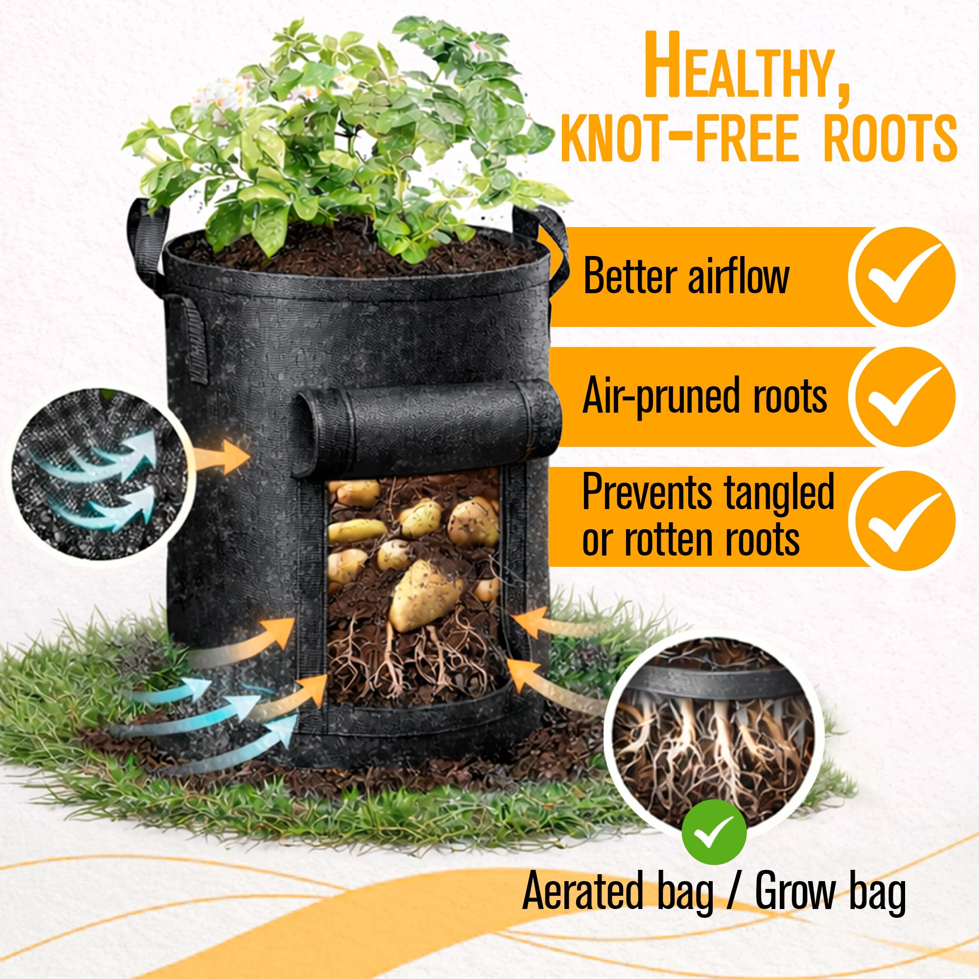 SunVara grow bags filled with soil and sprouts taking root