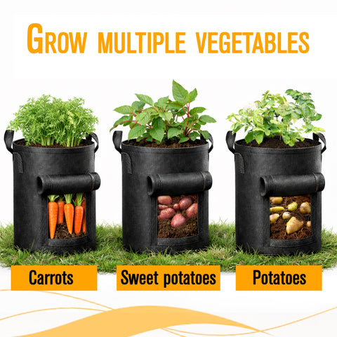SunVara grow bags shown used with tomatoes and vegetables