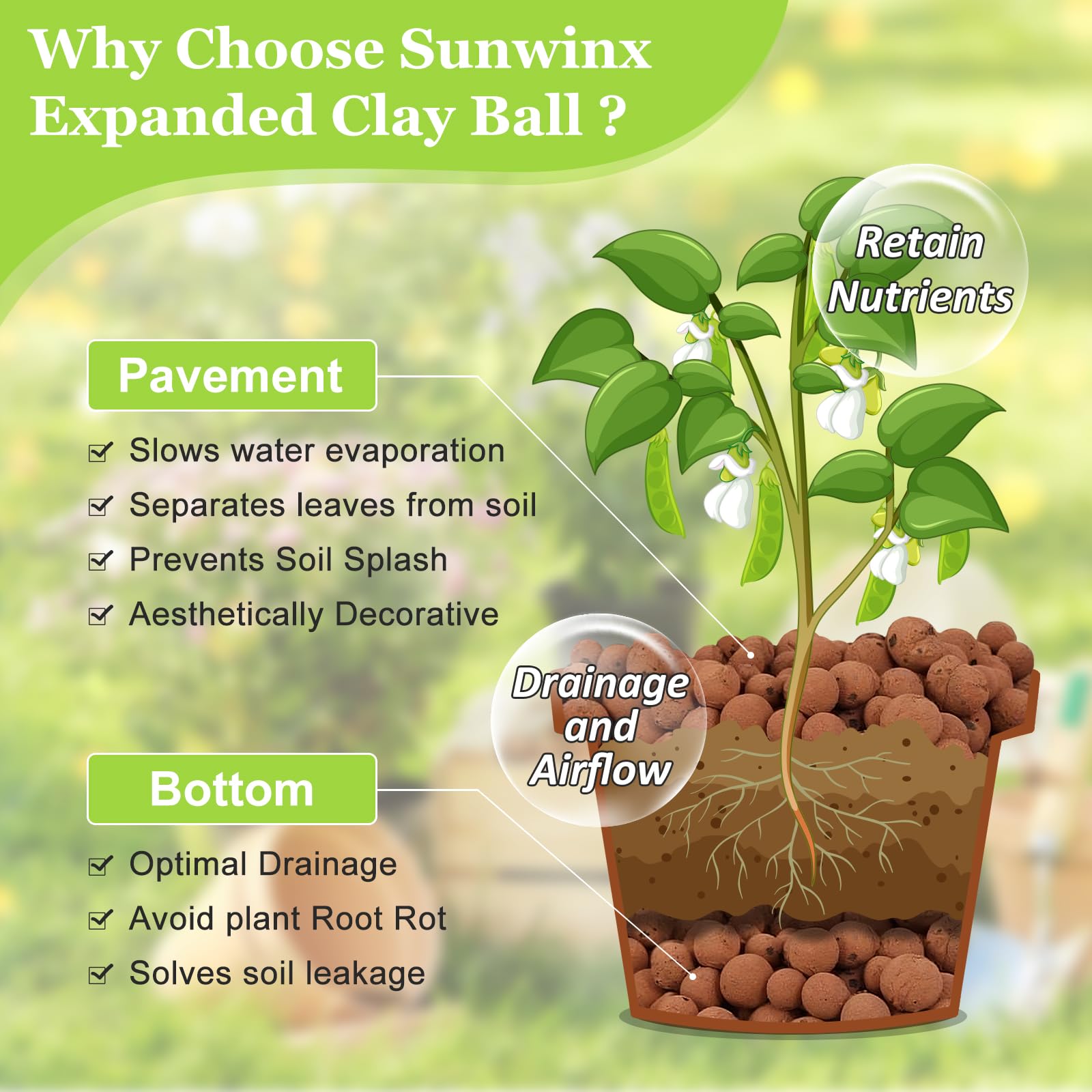 Sunwinx LECA balls aquarium use for filtration and clear water
