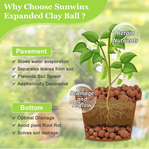 Sunwinx LECA balls aquarium use for filtration and clear water