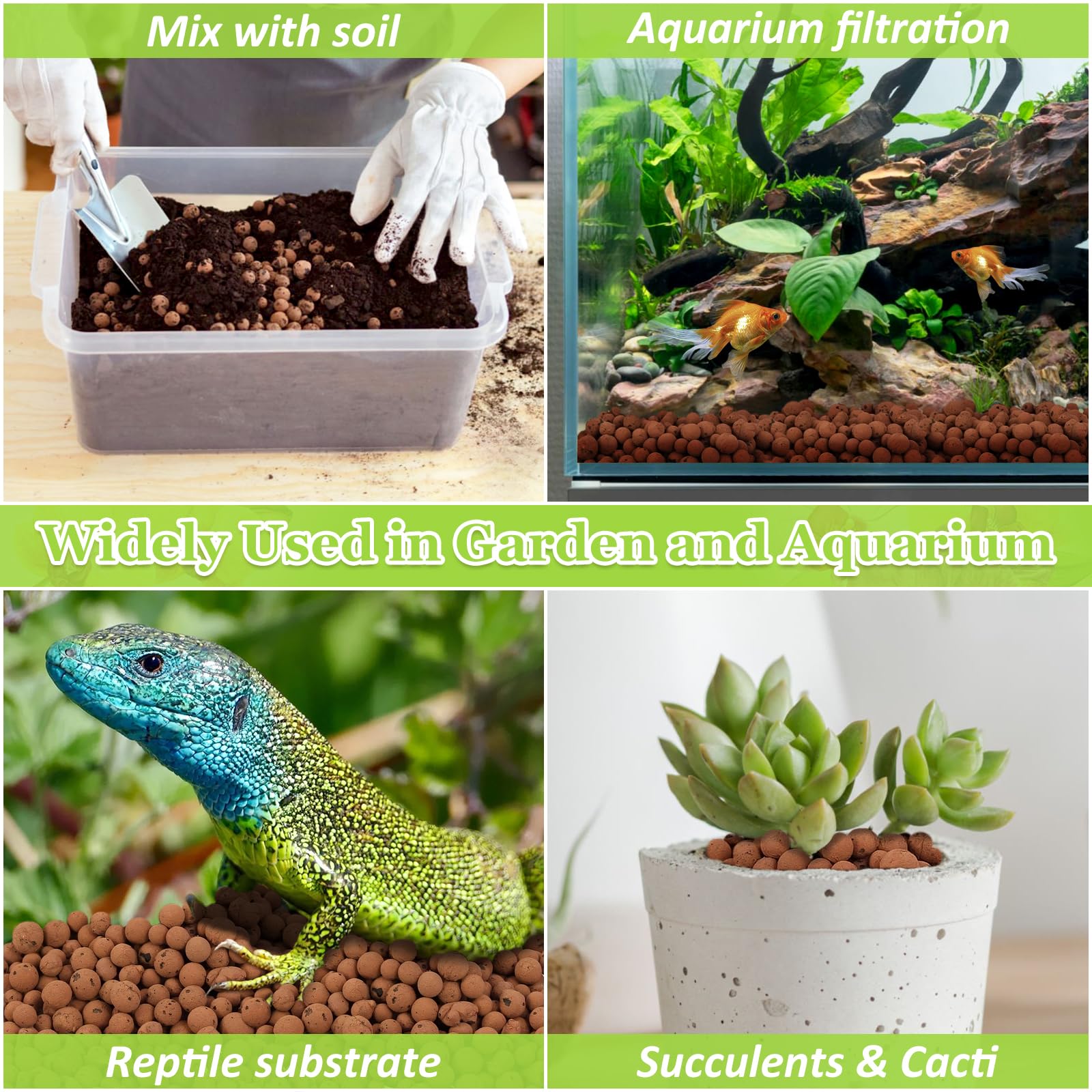 Sunwinx LECA balls orchid setup featuring breathable, well-drained substrate